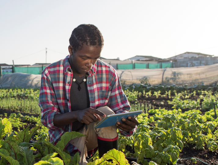 Empower Africa to lead an Agricultural Trade Mission to Sierra Leone November 4 – 7, 2019