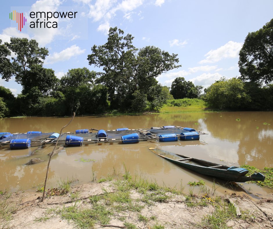 Why you should invest in Aquaculture in West Africa