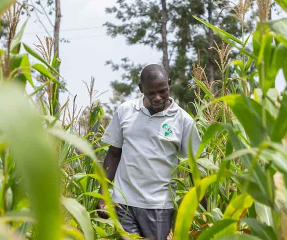 AfDB approves $11 million to facilitate fertilizer access for African farmers