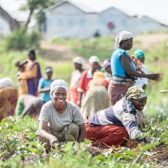 Kenya secures $21 million from AfDB to support women and youth entrepreneurs in Agriculture – Copy