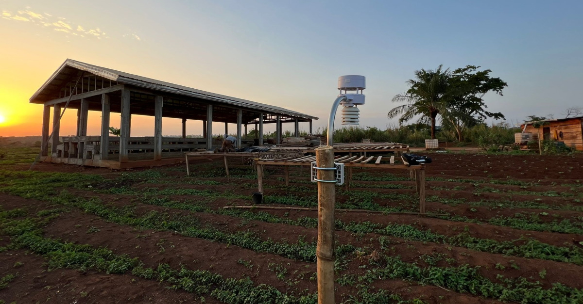 COOKO, an innovative Cameroonian AgTech startup, has raised $872,000 to revolutionize the country’s cocoa value chain