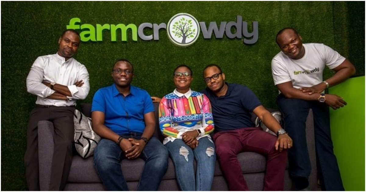 FarmCrowdy: The Nigerian ag-tech startup revolutionizing agriculture and empowering farmers