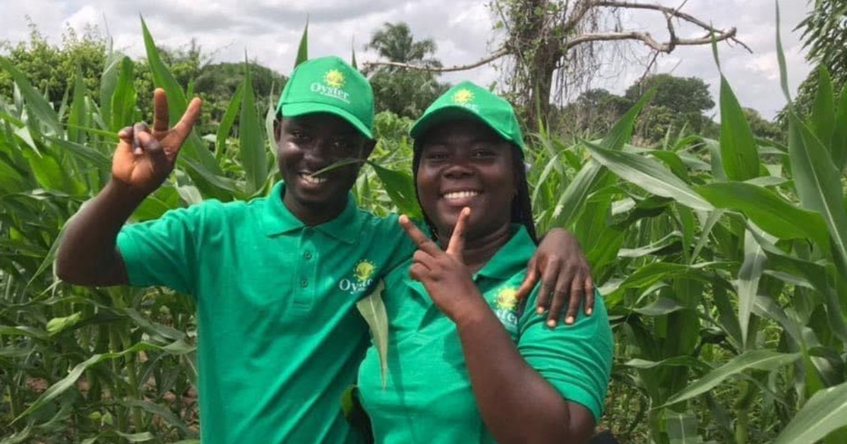 Ghanaian agri-tech startup Oyster Agribusiness raises $310,000 in funding to accelerate its growth