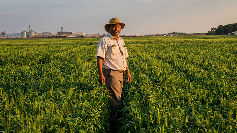 FSD Africa Investments (FSDAi) Announces $19.5 Million Investment in African Climate Projects