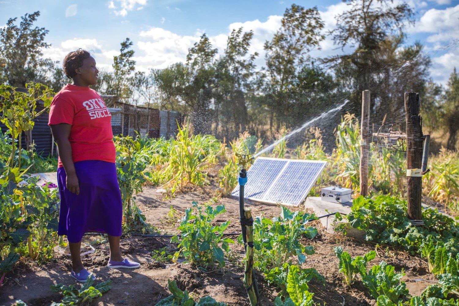SunCulture Gets Backing From Investment Energy Platform Nithio to Drive Solar Irrigation, Farming Innovations Across Africa