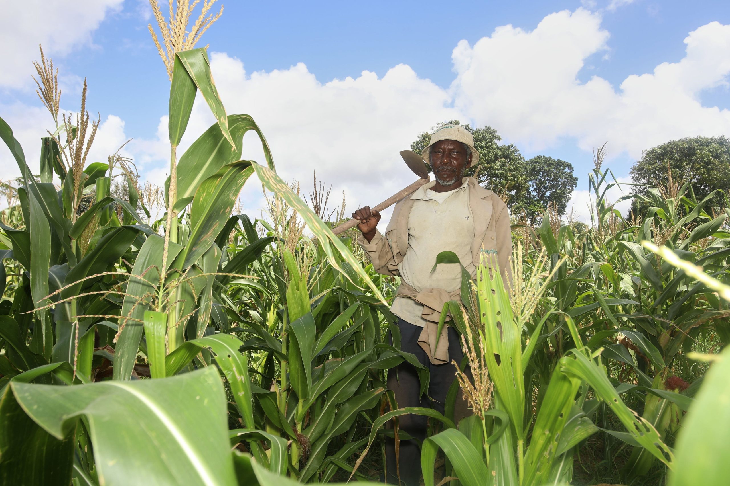 Kenyan Agritech Startup Pula Secures $20 Million to Expand Climate Insurance for Smallholder Farmers
