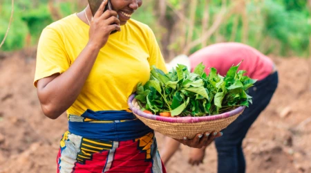 Kenyan Agritech Startup Farm to Feed Secures Funding to Reduce Food Loss