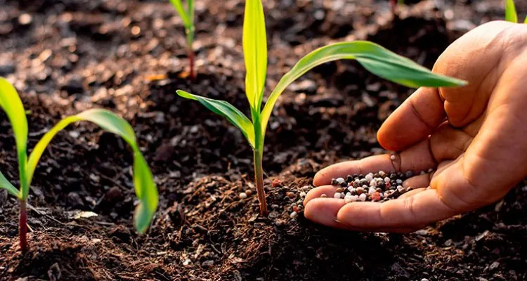 London Climate Tech Startup Downforce Technologies Secures $4.2 Million for Africa-Focused Soil Solutions