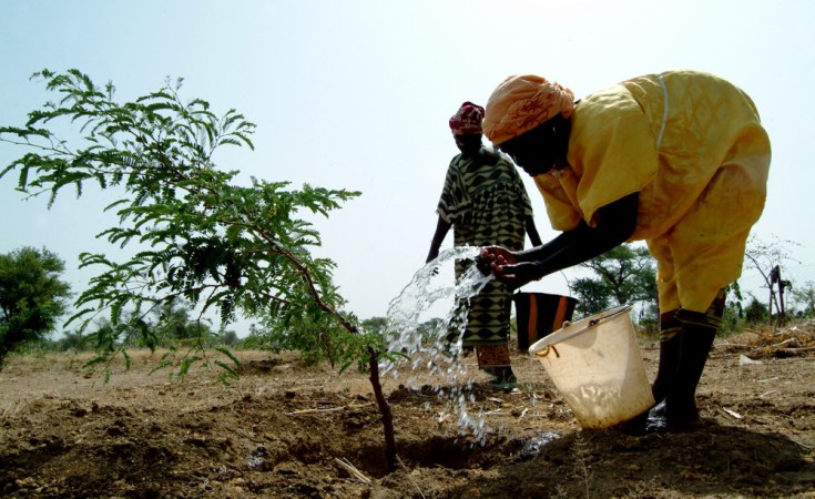 Heading for Change Commits to Invest in KawiSafi and Catalyst Fund to Advance Climate Solutions in Africa