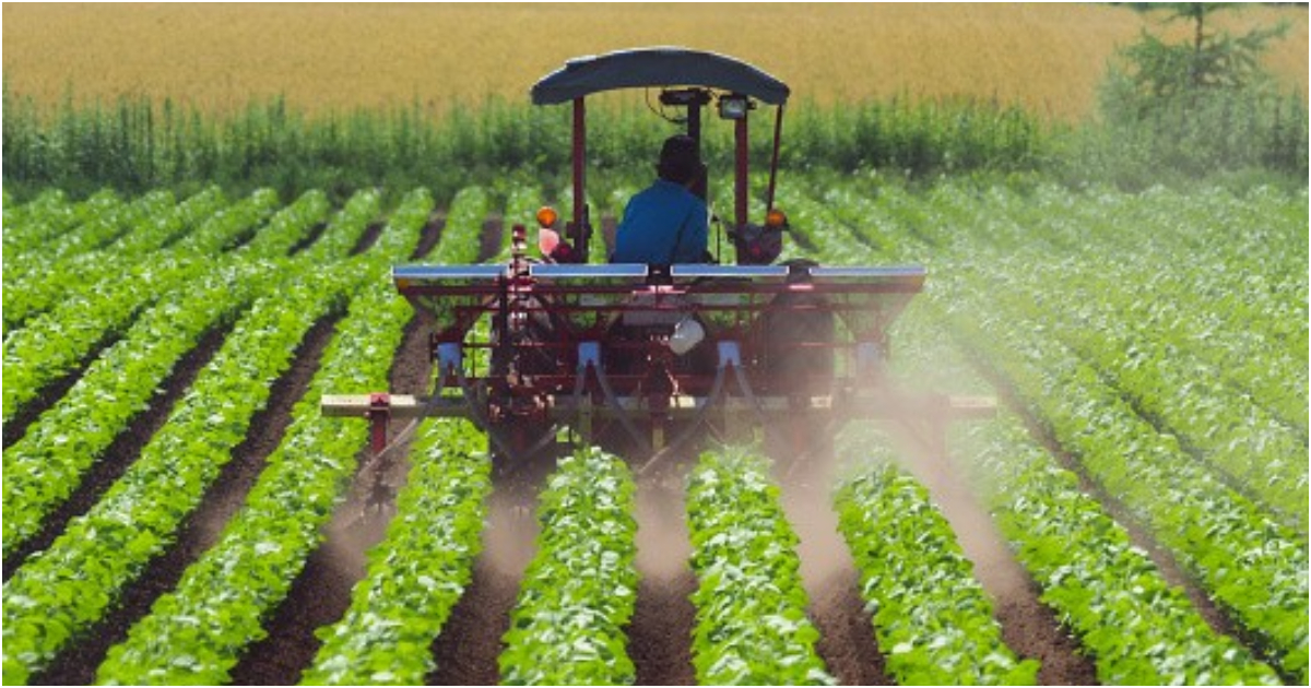 Ethiopia Secures $600 Million Investment as EABC, EIH, and Asset Green Partner in Agribusiness Project