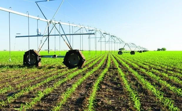 AgDevCo Secures $85 Million Investment to Boost Agribusiness in Africa