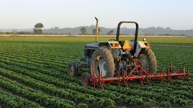 Blue Earth Capital Invests $25 Million in Robust International to Support Agriculture Processing in Nigeria