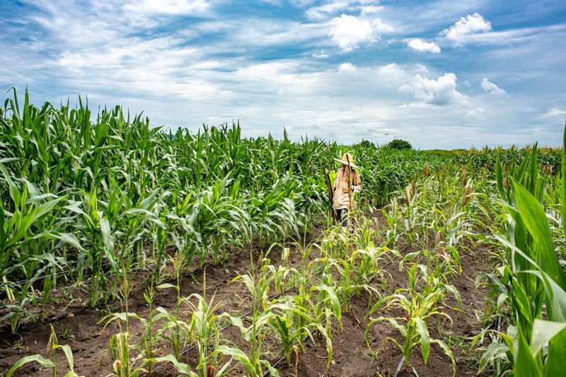 SIFEM Invests in Alterra Capital Partners’ Accelerator Fund to Boost Early-Stage Businesses in Africa