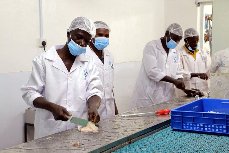Sahel Capital Extends $1 Million Loan to Kenyan Fish Processing Firm Camino Ruiz