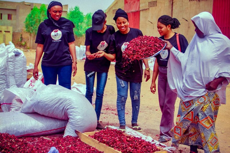 Acumen Backs Nigerian Agribusiness AgroEknor to Expand Hibiscus Exports
