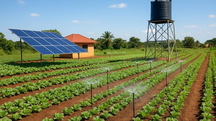 DOB Equity Invests in Uganda’s Irrisol Engineering to Expand Solar Water Networks